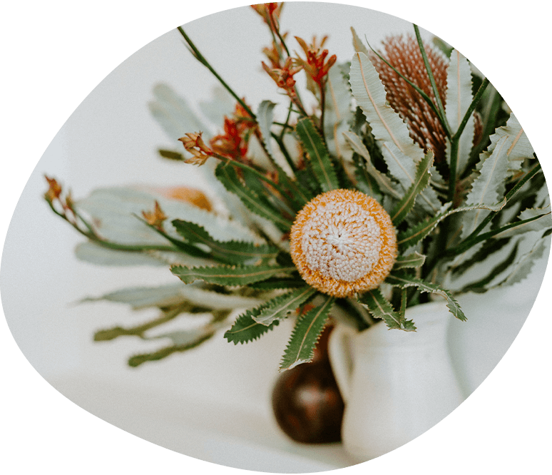 meet our Sex Therapists