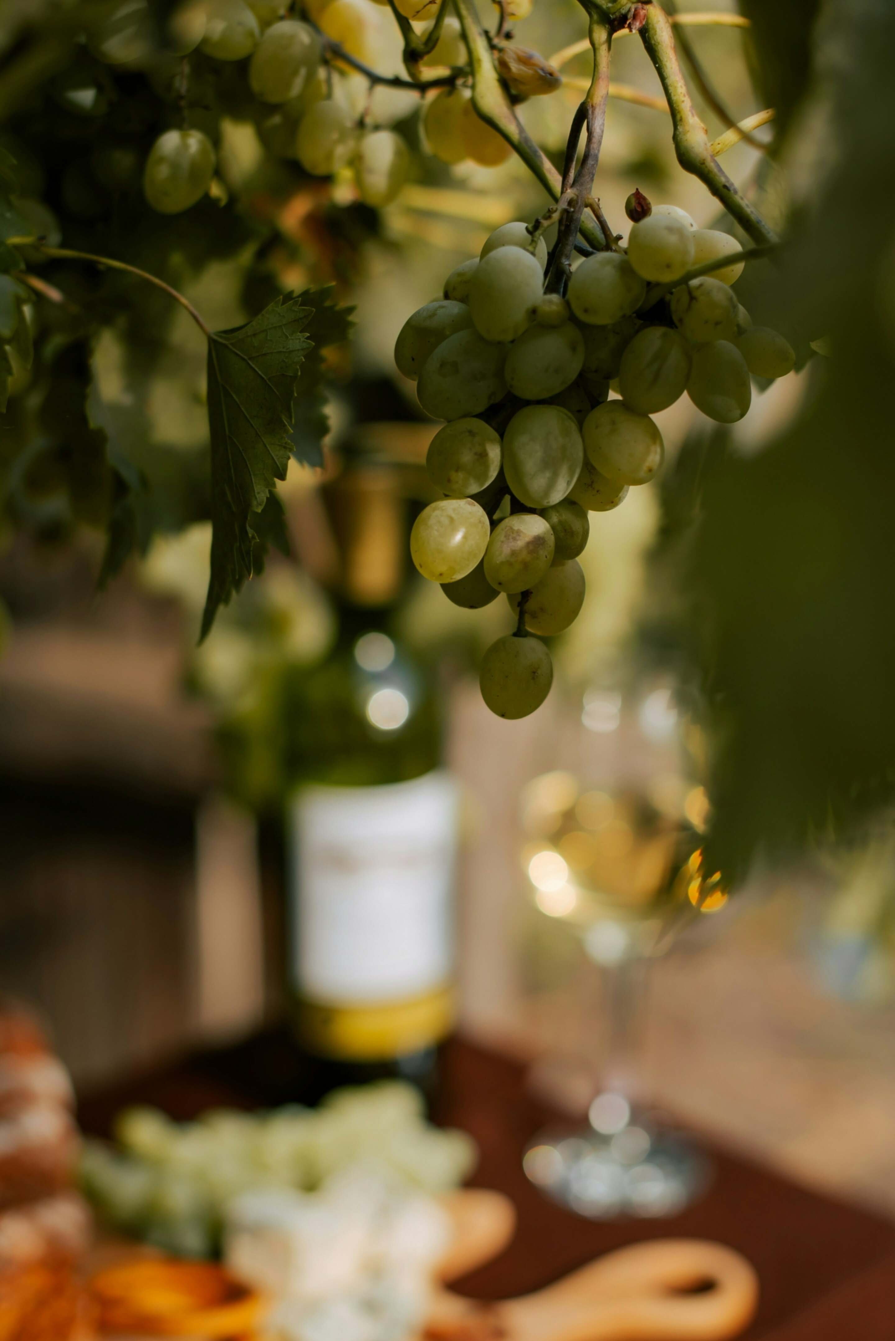 Kateryna hliznitsova Bh Ln Tpkd3d0 unsplash