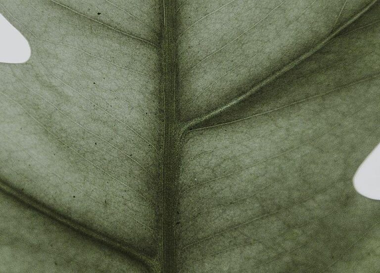 Brx postcard Desk Large