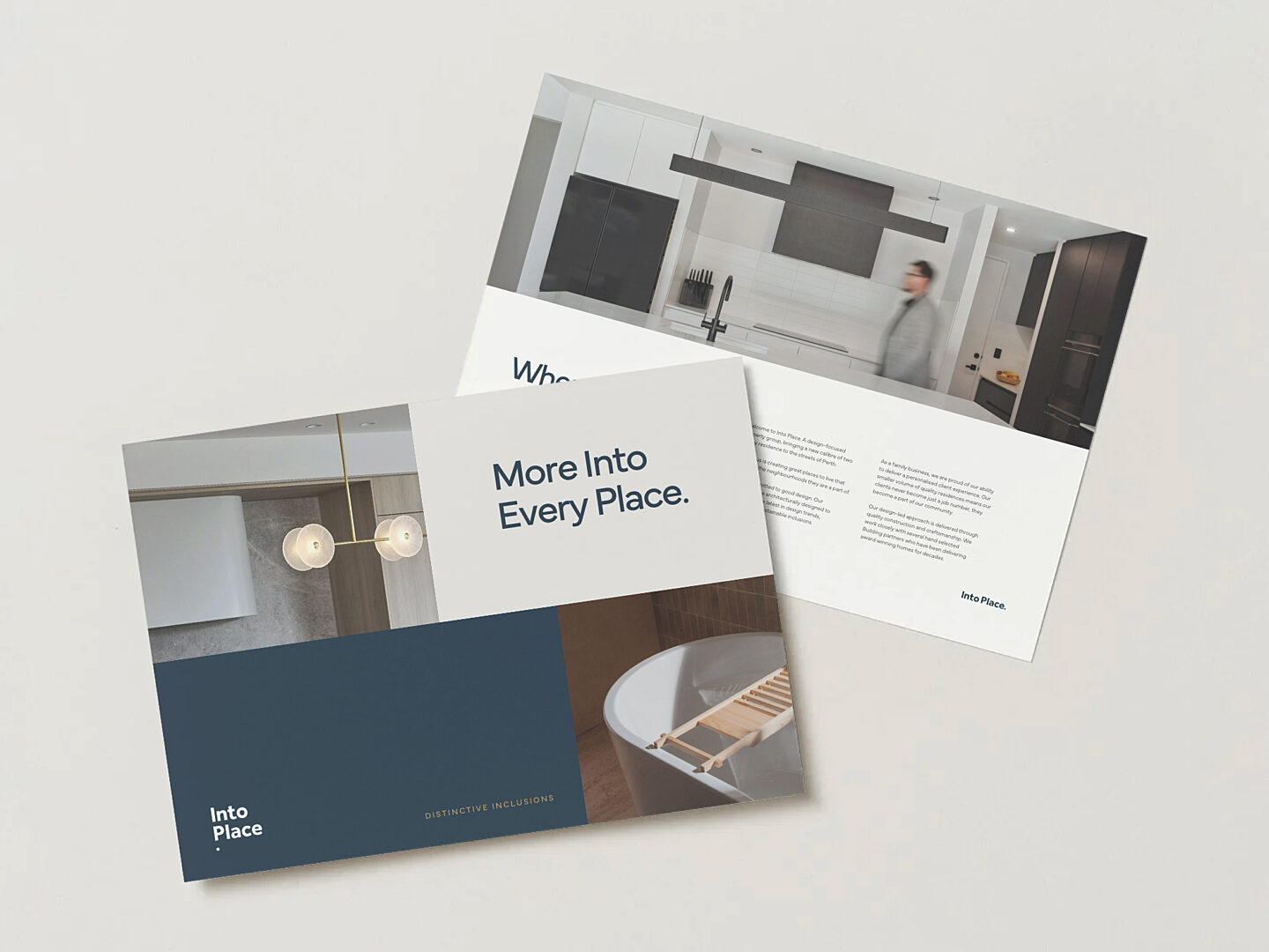 Distinctive Inclusions mockup 1