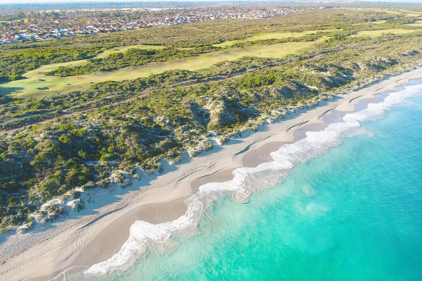 Untitled design 2022 12 06 T134744 799 2022 12 07 063248 sapj