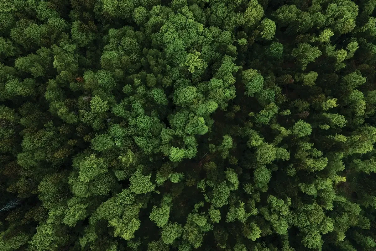 Our commitment to sustainability
class=