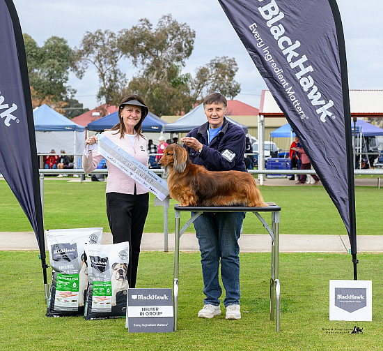 Dogs SA Jr Handler Shows Judges images