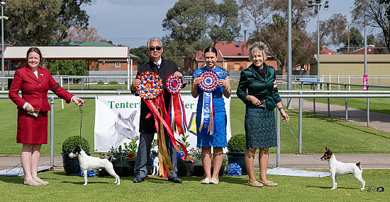 Tenterfield Terrier National Club Photos 