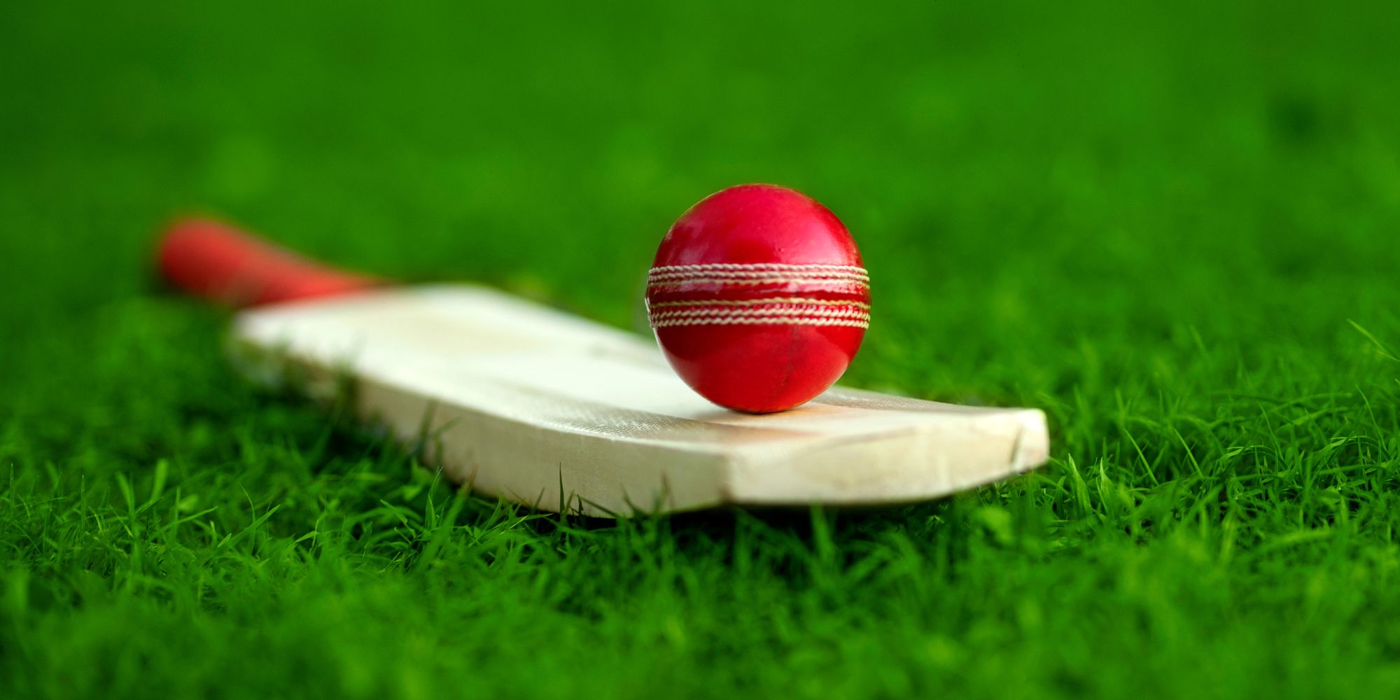 Blast Cricket 8 Week Program
