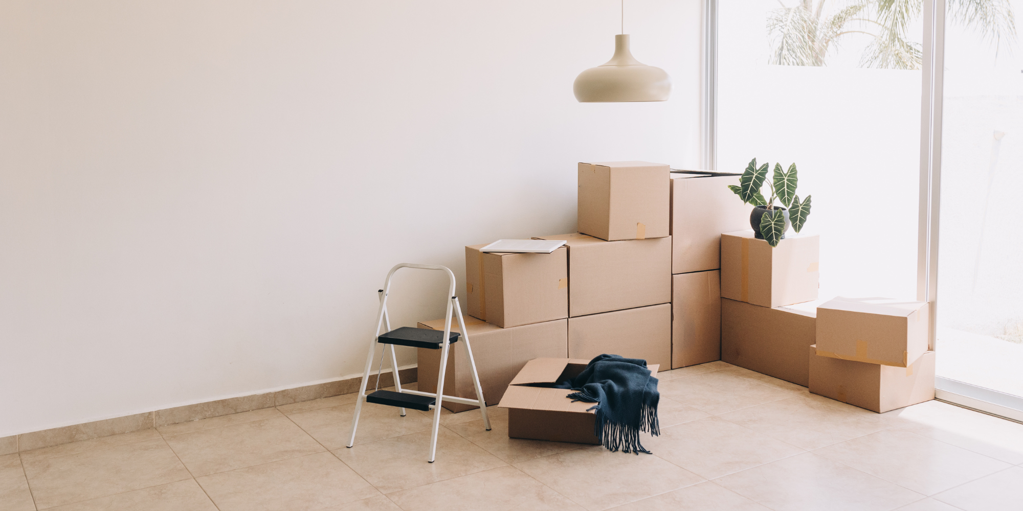 An image of moving boxes a step ladder and a plant in a corner of a room