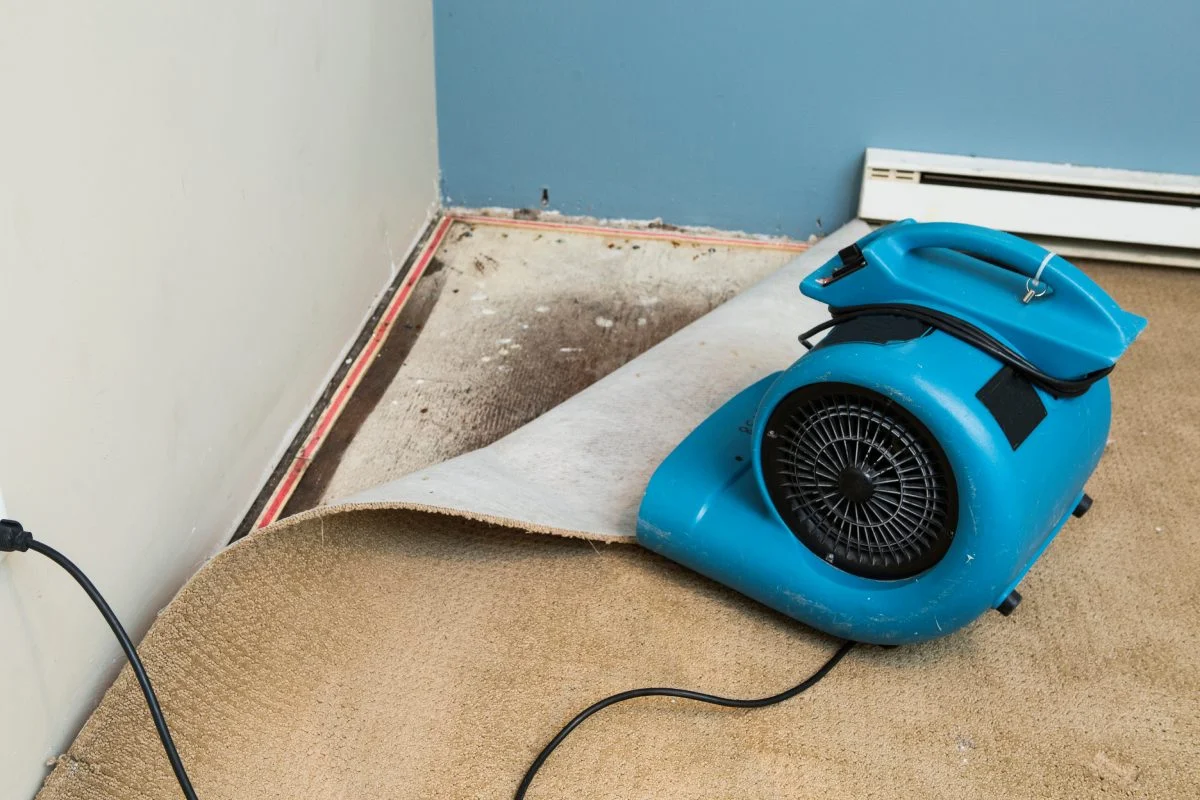 Water damage on carpet