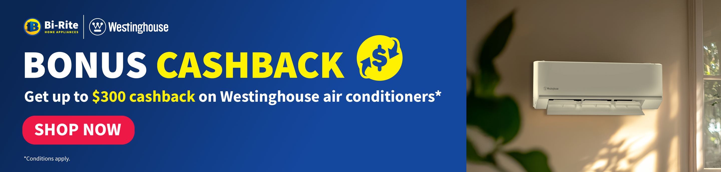 Promotion Banner