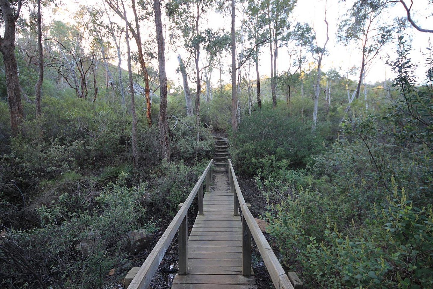Ellis brook bridge