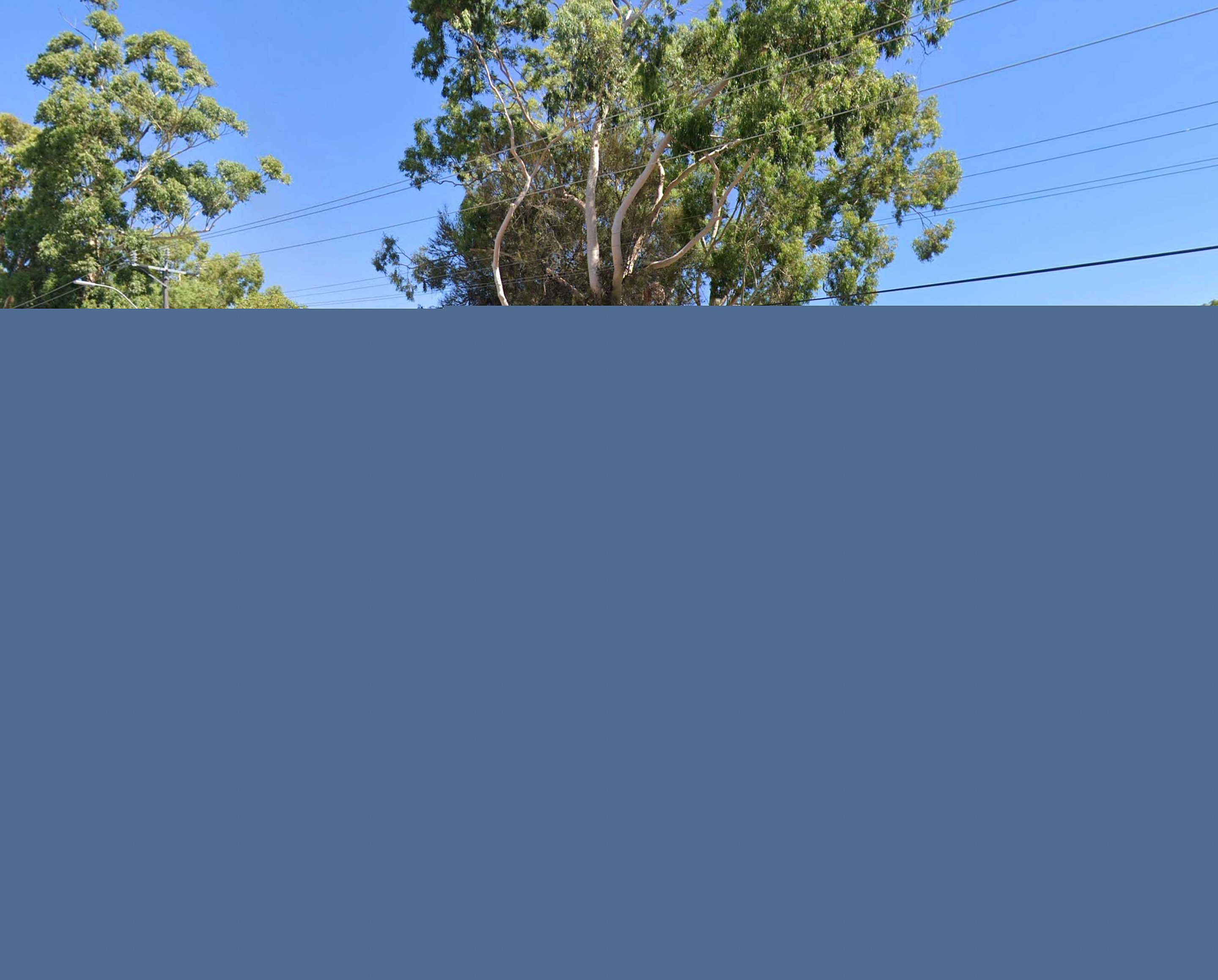 Huntingdale Primary School