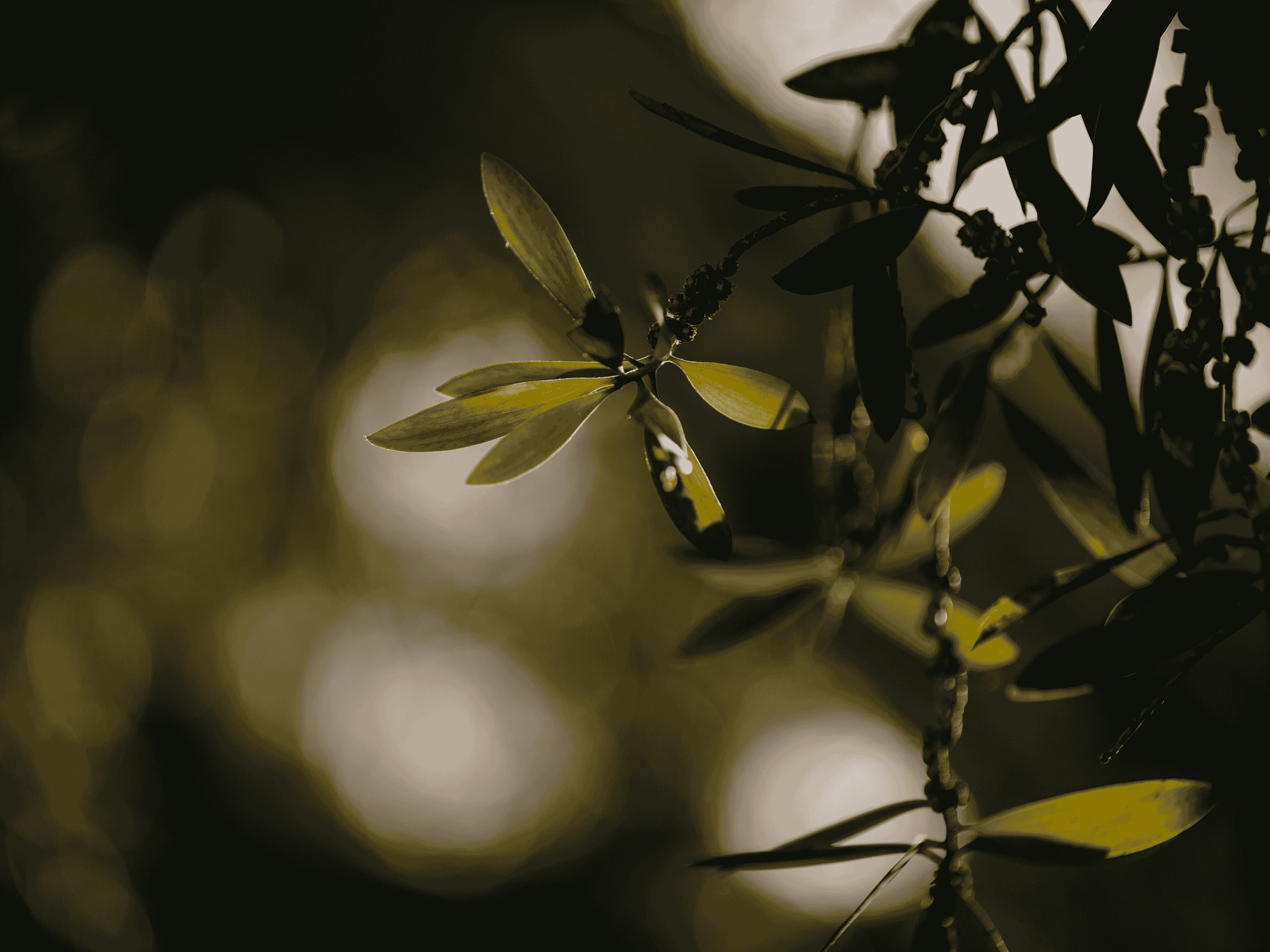 Enclave Homepage Content Image nature