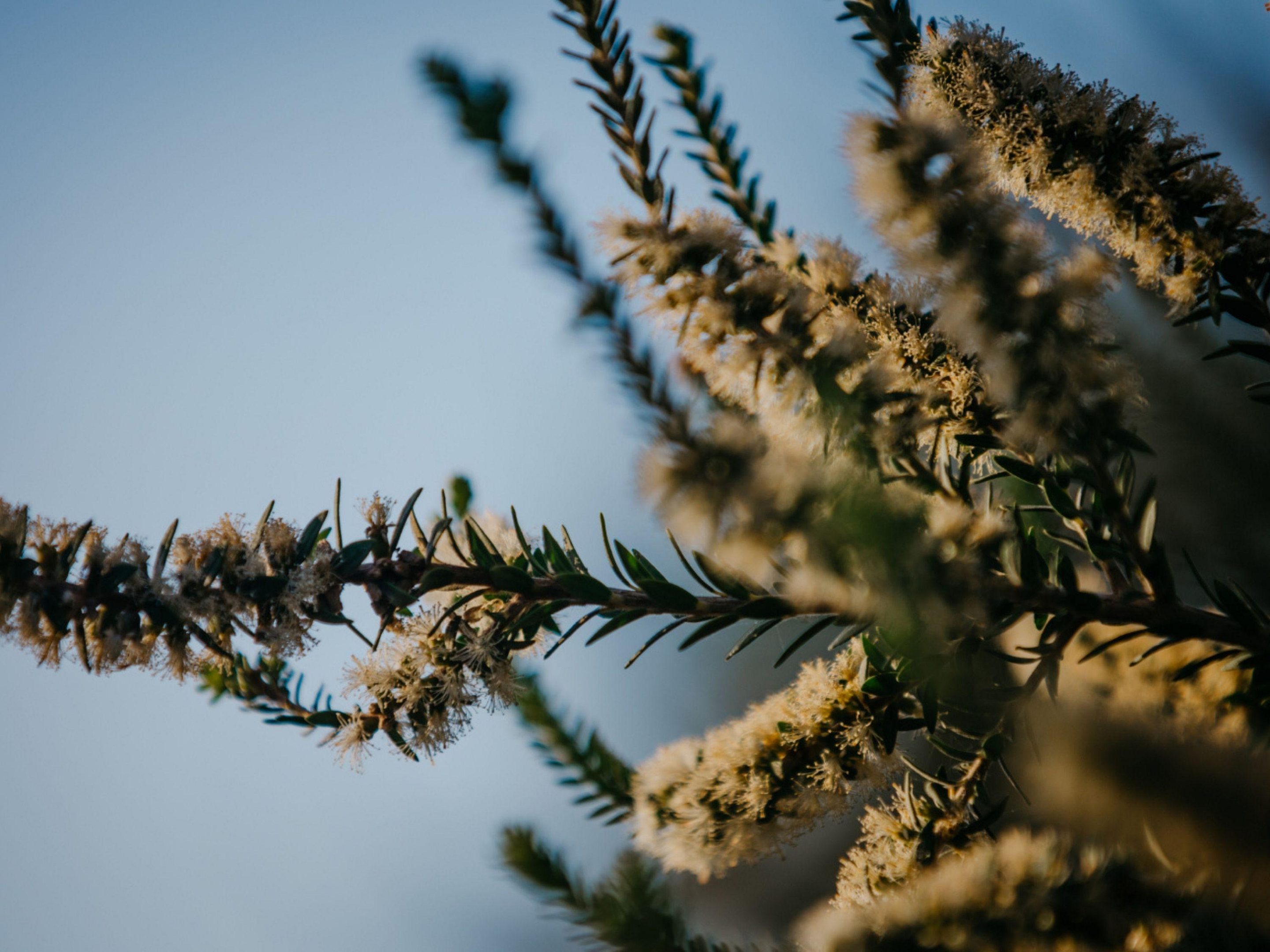 Land Group WA Enclave Project Mobile Header