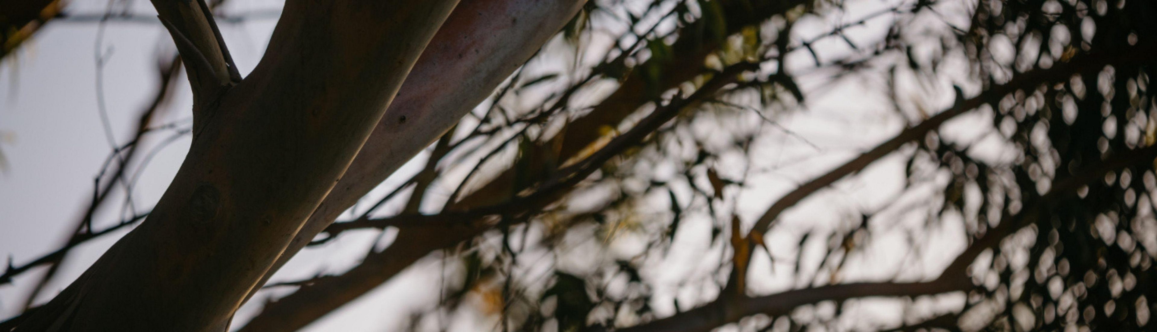 Enclave Hocking Nature Building Resources Header Banner Desktop