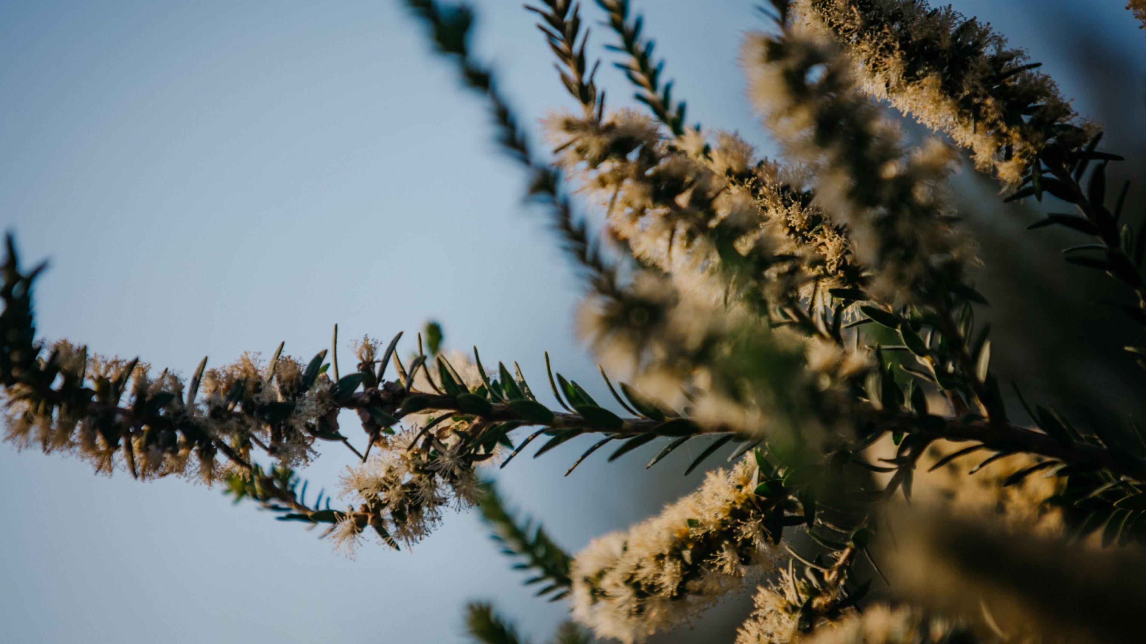 Land Group WA Enclave Project Desktop Header