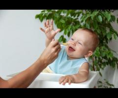 Premium Infant & Baby Nutrition in Blacktown – Royale Gateways PTY - 2