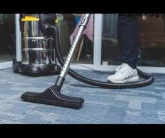 Professional Carpet Cleaning in Officer: Emergency Carpet Cleaning