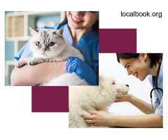Trusted Veterinary Surgeons Near Keysborough - 3