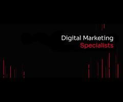 Why choose image traders for Digital marketing services?