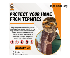 Termite Pest Control Sydney