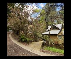 Reconnect with Nature in Style – Dandenong Ranges Accommodation
