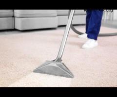 Best Carpet Cleaning Service in Brighton