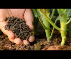 Hire Professional Lawn Mowing Services in Brighton East