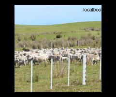 Strong and Stylish PVC Fence Solution Made in Australia
