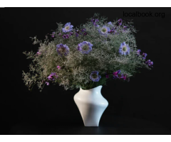 Buy Signature Designer Homewares in Brisbane