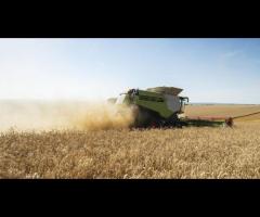 Agronomy Jobs in Western Australia With Real Farm Hiring Support