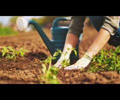Garden Cleaning in Canberra With Professional-Grade Equipment