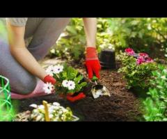 Garden Cleaning in Canberra With Professional-Grade Equipment - 2