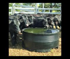 Keep Your Flock Hydrated with Tough Built Sheep Water Trough