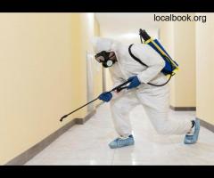 General Pest Control Service In Gold Coast