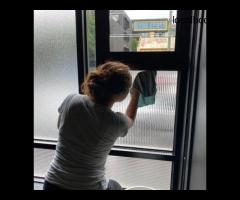 Professional Window Cleaning Service in Coburg