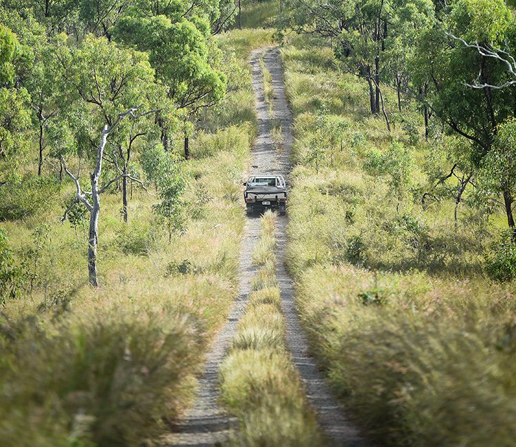z_NQ Dry Tropics Grazing_023_750x650