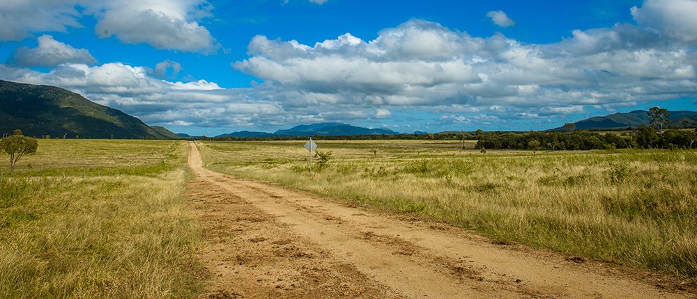 z_White Kangaroo Station_0005_1000x430