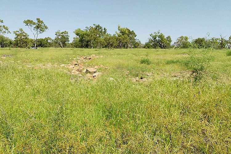 z_AFTER_RiverviewGully_750x500