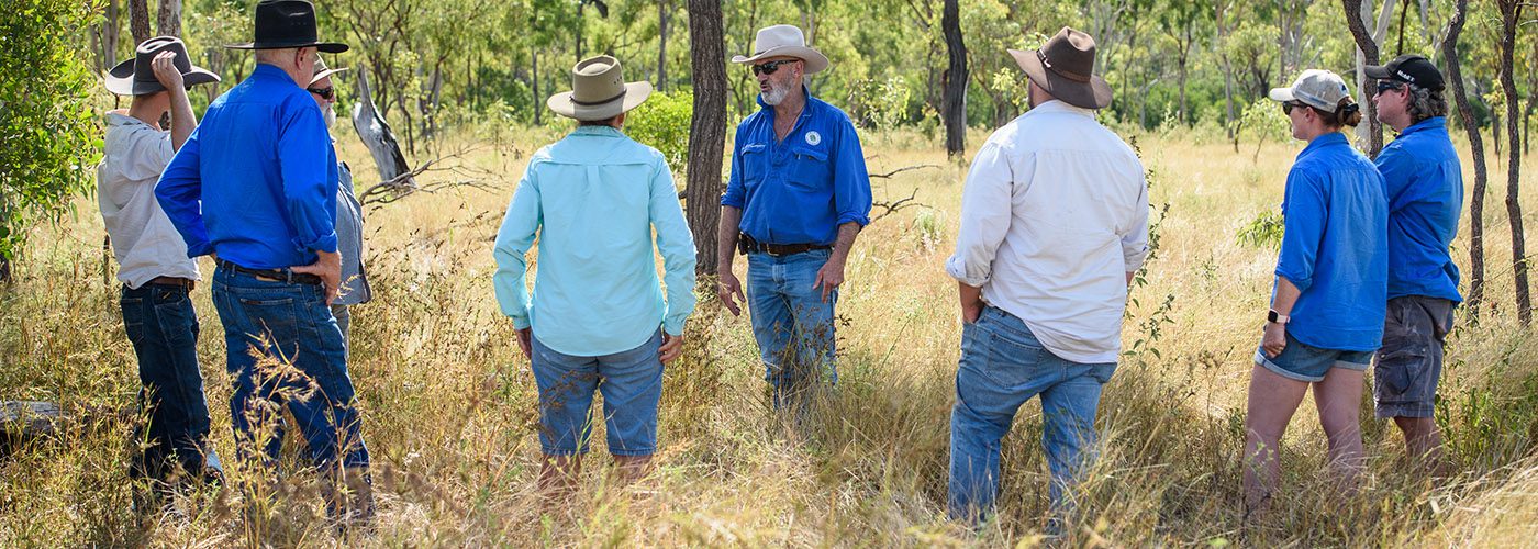 z_NQ Dry Tropics Grazing_930_1400x500