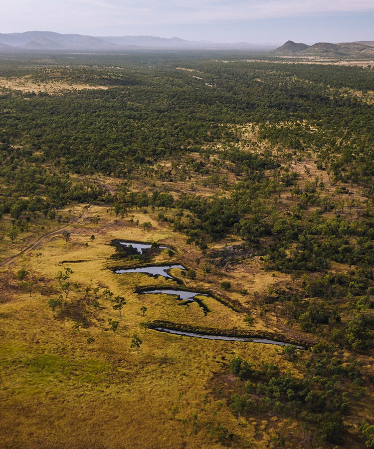z_NQDryTropics-Aerials-7368_750x900