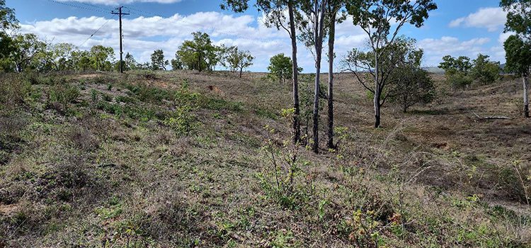 z_JIM_Dam wall facing south_750x350