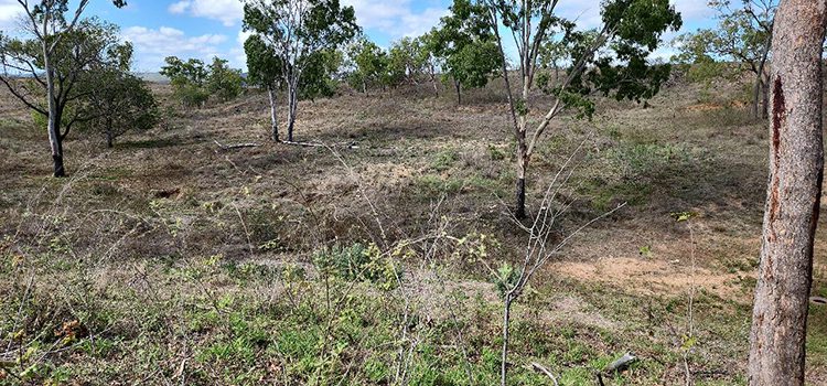 z_JIM_dam wall facing south west_750x350