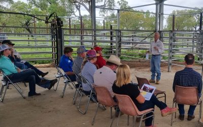 Animal Health @ Spyglass Station... Dr Geoffry Fordyce in the "classroom".