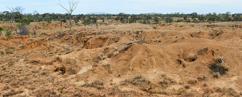 z_focus_Havilah Station gully5_950x380