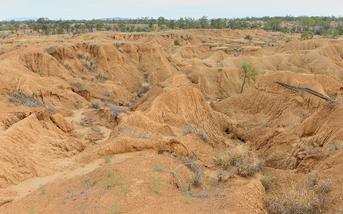 z_Havilah Station gully1_1200x750
