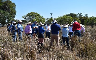 Field walk at Woodlands Station.
