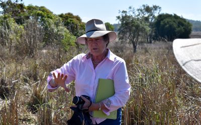Christine Jones explains some of the finer points of soil health during her Woodlands Station workshop.