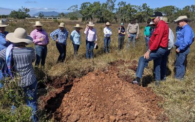 Looking at what's going on below the soil during a Christine Jones workshop at Woodlands Station.