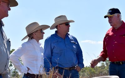 Pictured, from left, are Bob Harris, Leanne and Barry O_Sullivan and Rod Barrett at the Woodlands workshop.