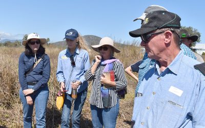 Always something to learn. Pictured, from left, are Monica Regan, Gillian Barbat, Wendy Barrett and Peter Sabeto.