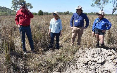 Pictured in the field at Woodlands Station are, from left, Rod Barrett, Sharon Yensch, Daniel Hazelman and Joan Gordon.